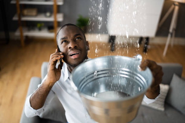 Best Water damage restoration near me  in Concordia, NJ