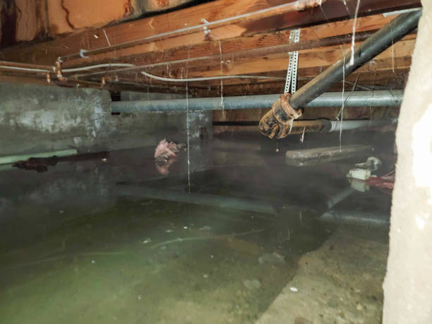  Concordia, NJ Water damage restoration Pros