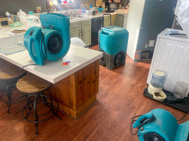 Best Fire Damage Restoration  in Concordia, NJ