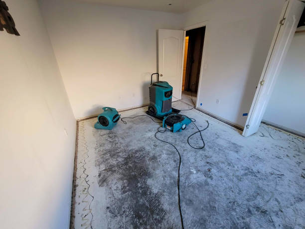 Best Local water damage restoration  in Concordia, NJ
