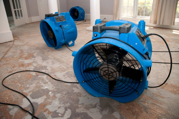 Trusted Concordia, NJ Water damage restoration Experts