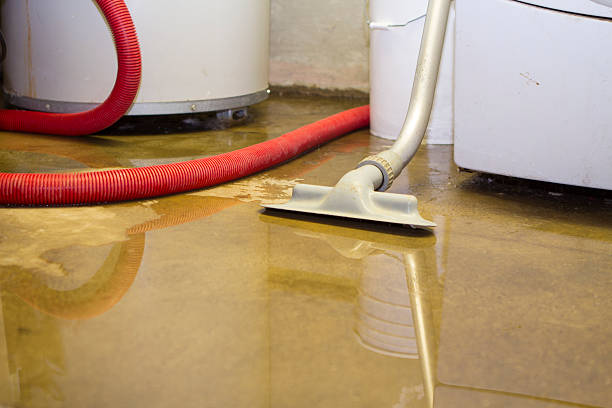 Best Flood restoration services  in Concordia, NJ