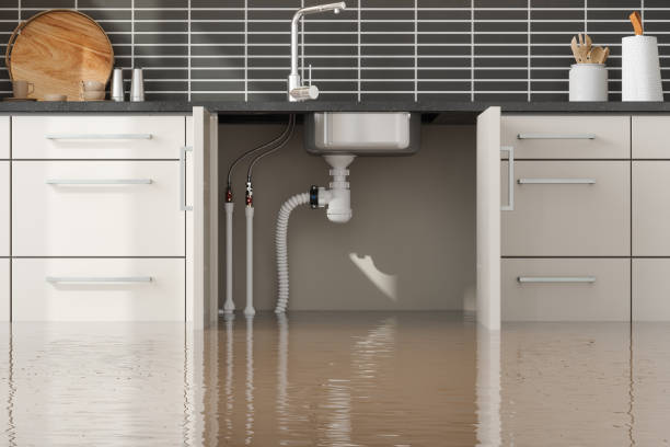 Best Carpet water damage restoration  in Concordia, NJ