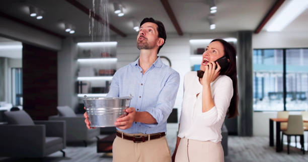 Best Ceiling water damage repair  in Concordia, NJ
