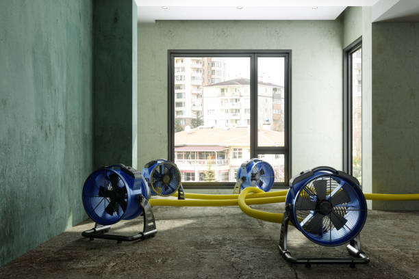 Best Water damage restoration near me  in Concordia, NJ
