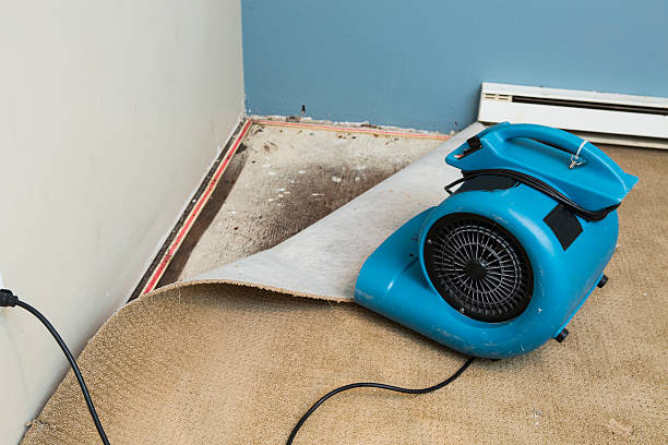 Best Flood damage cleanup  in Concordia, NJ